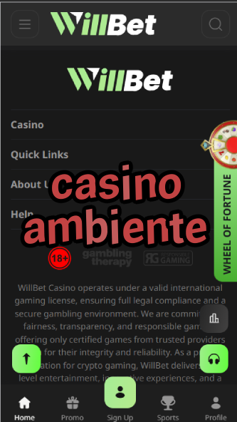 Casino Ambiente - Luxury Casino Environments-casinoorder.vip